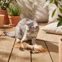 CTOY25MATAMAKARA(4).webp