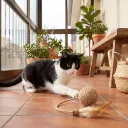 CTOY35KUYRUKLUTOP(4).webp