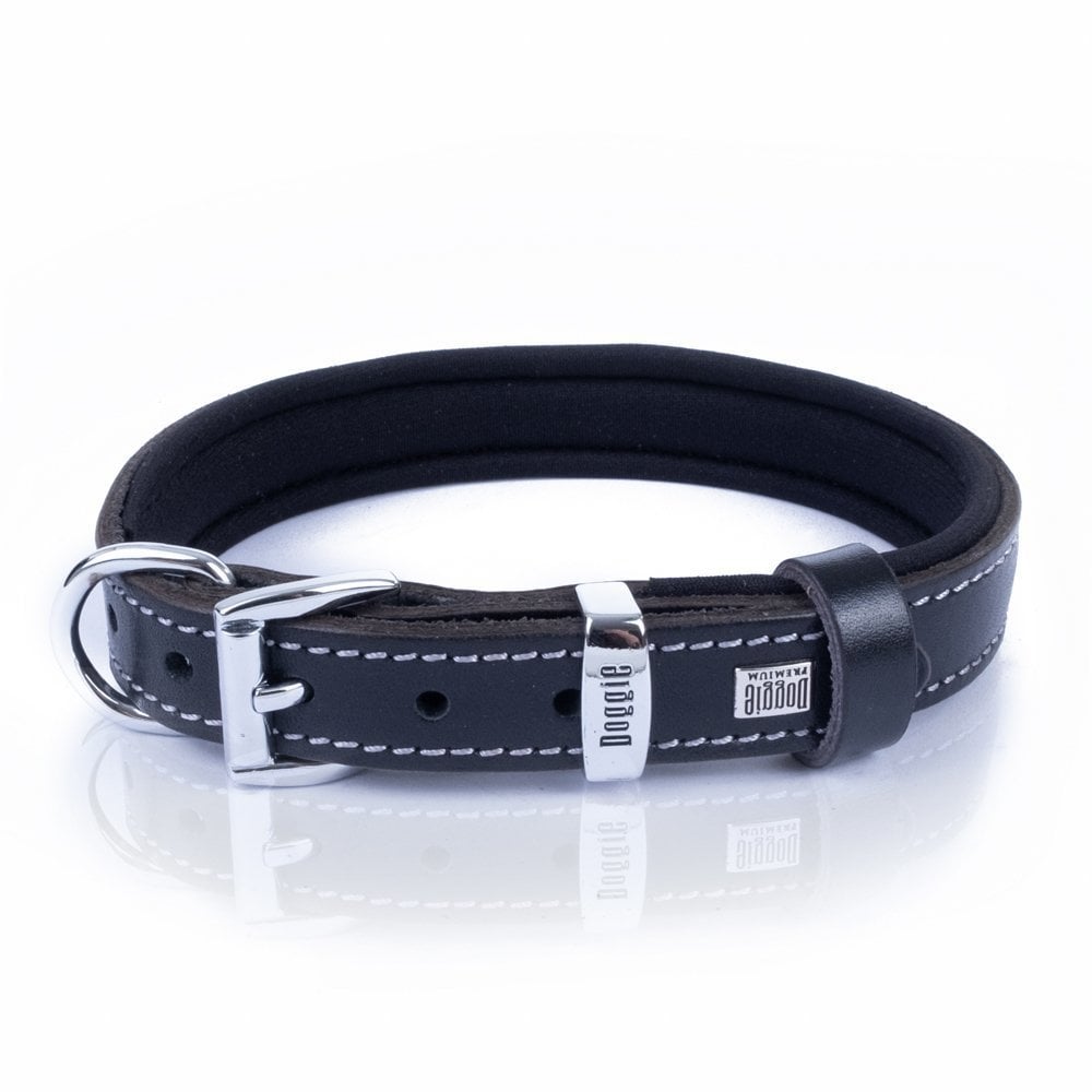 SBT2014SBLACK-picture4Path