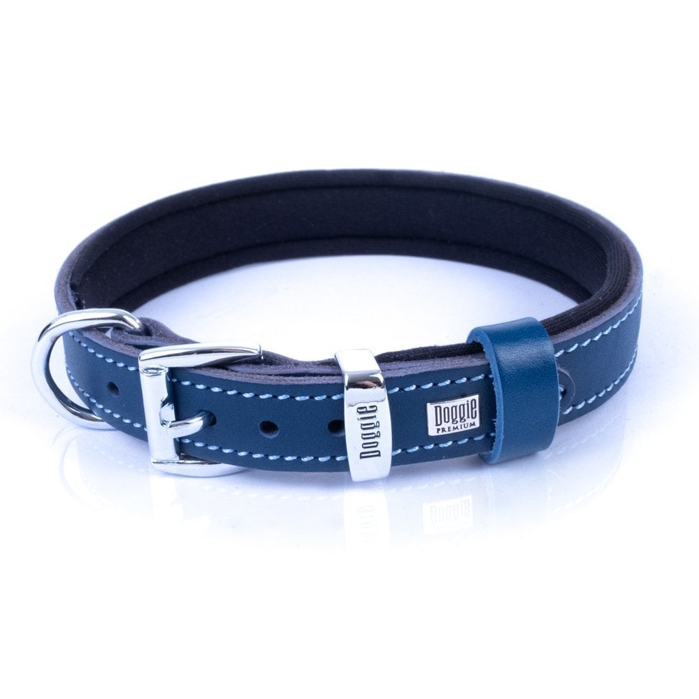 SBT2014MROYALBLUE-picture4Path