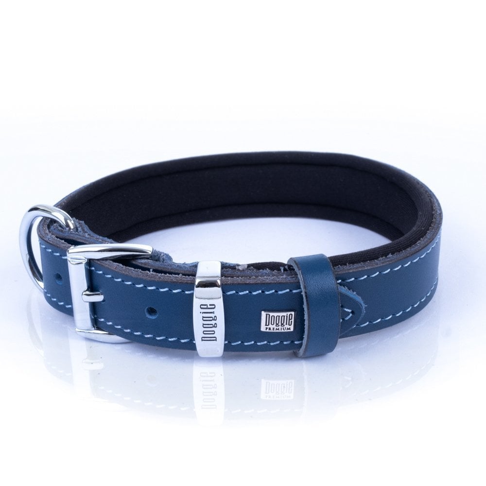 SBT2514MROYALBLUE-picture4Path