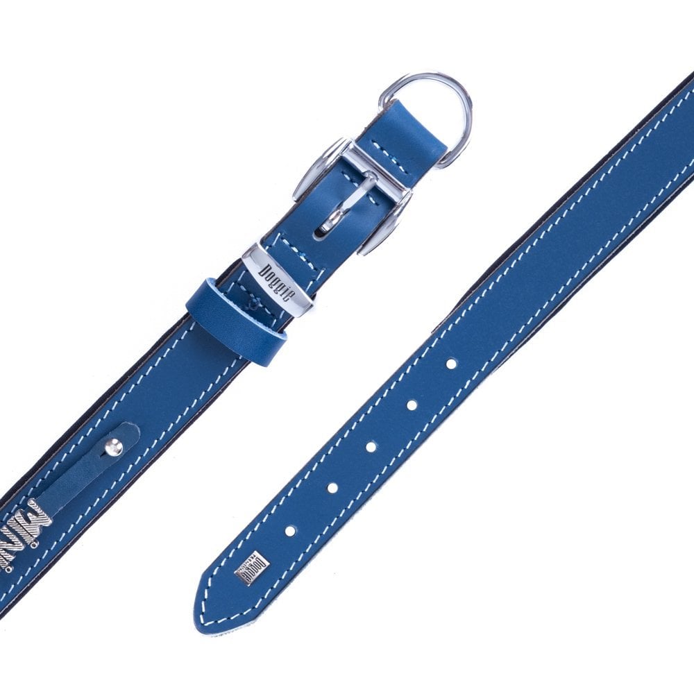 SBT2514MROYALBLUE-picture5Path