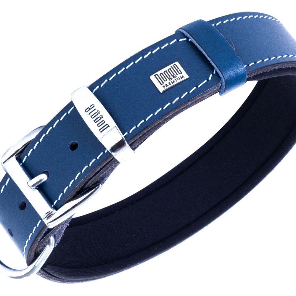 SBT3515LROYALBLUE-picture3Path