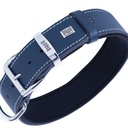 SBT3535MROYALBLUE-picture2Path