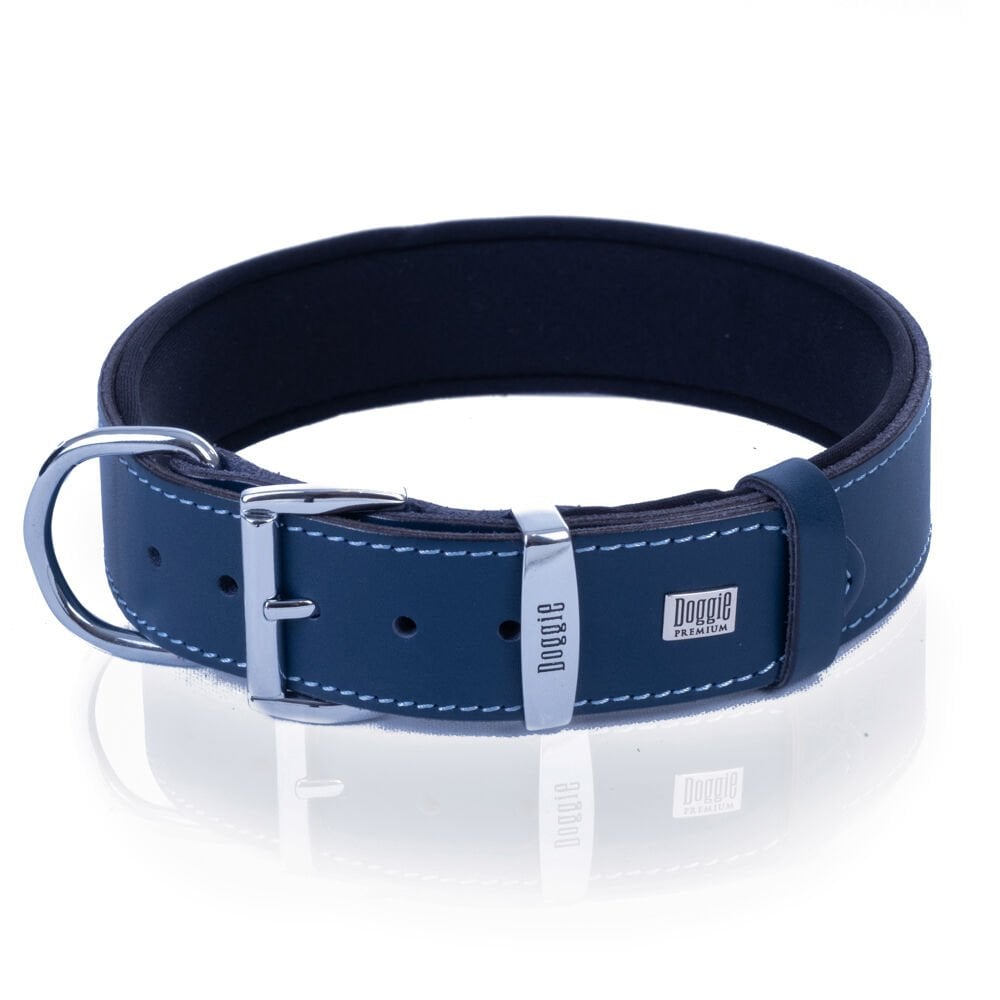 SBT3535MROYALBLUE-picture3Path