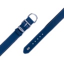 SBT3535MROYALBLUE-picture4Path