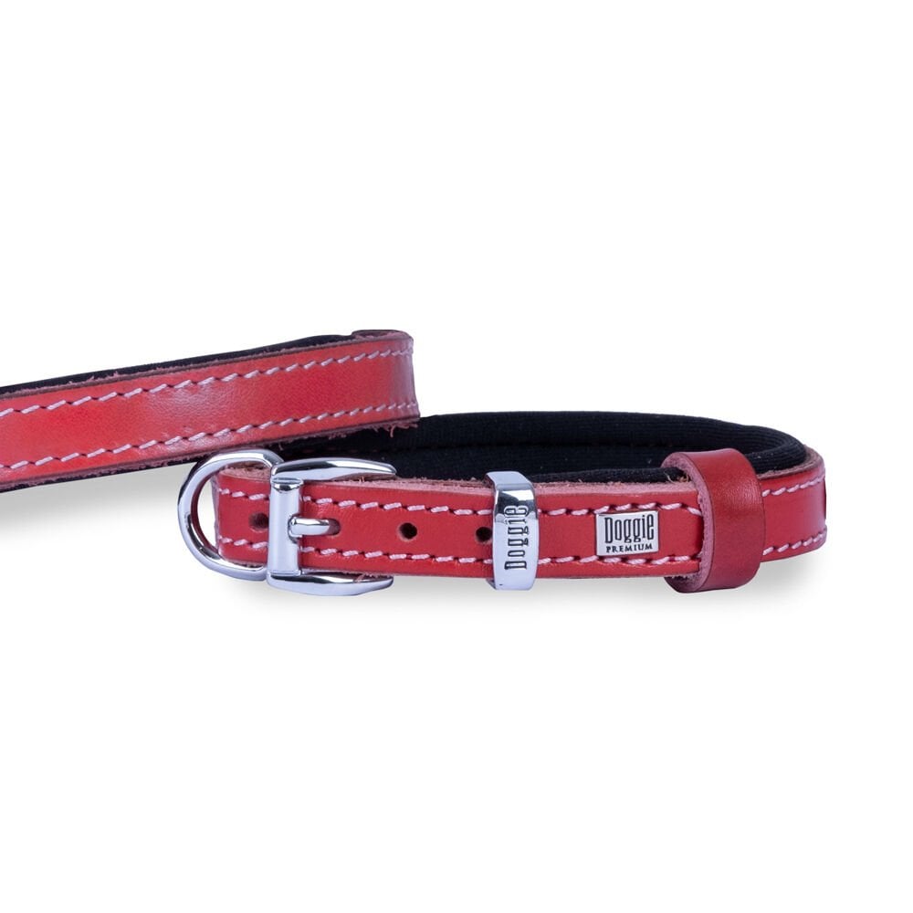 Doggie Leather Dog Collar 1.5x20-25cm