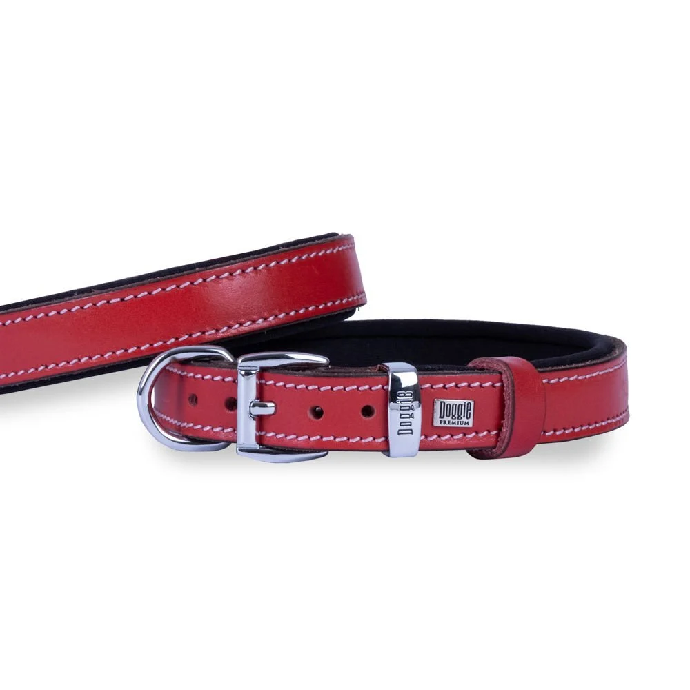Doggie Leather Dog Collar 2x35-40cm
