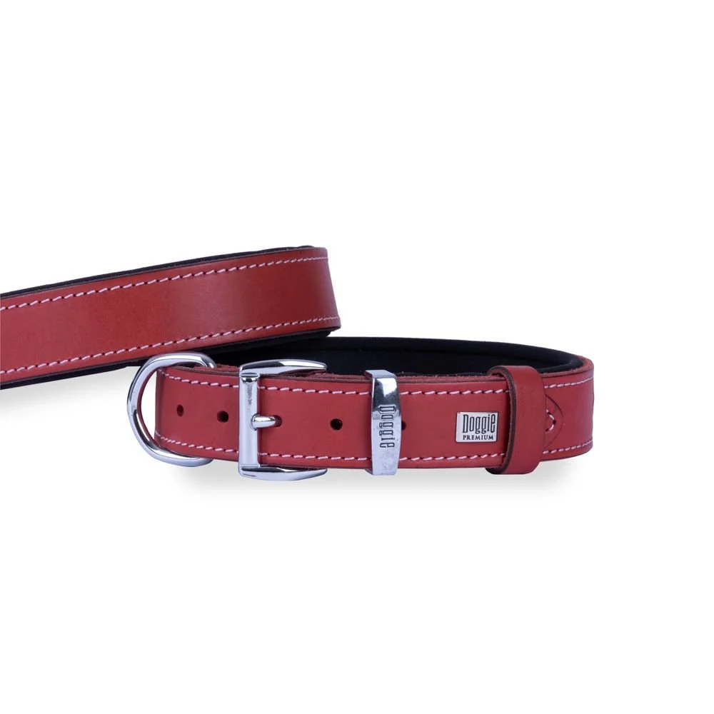 Doggie Leather Dog Collar 2.5x37-45cm