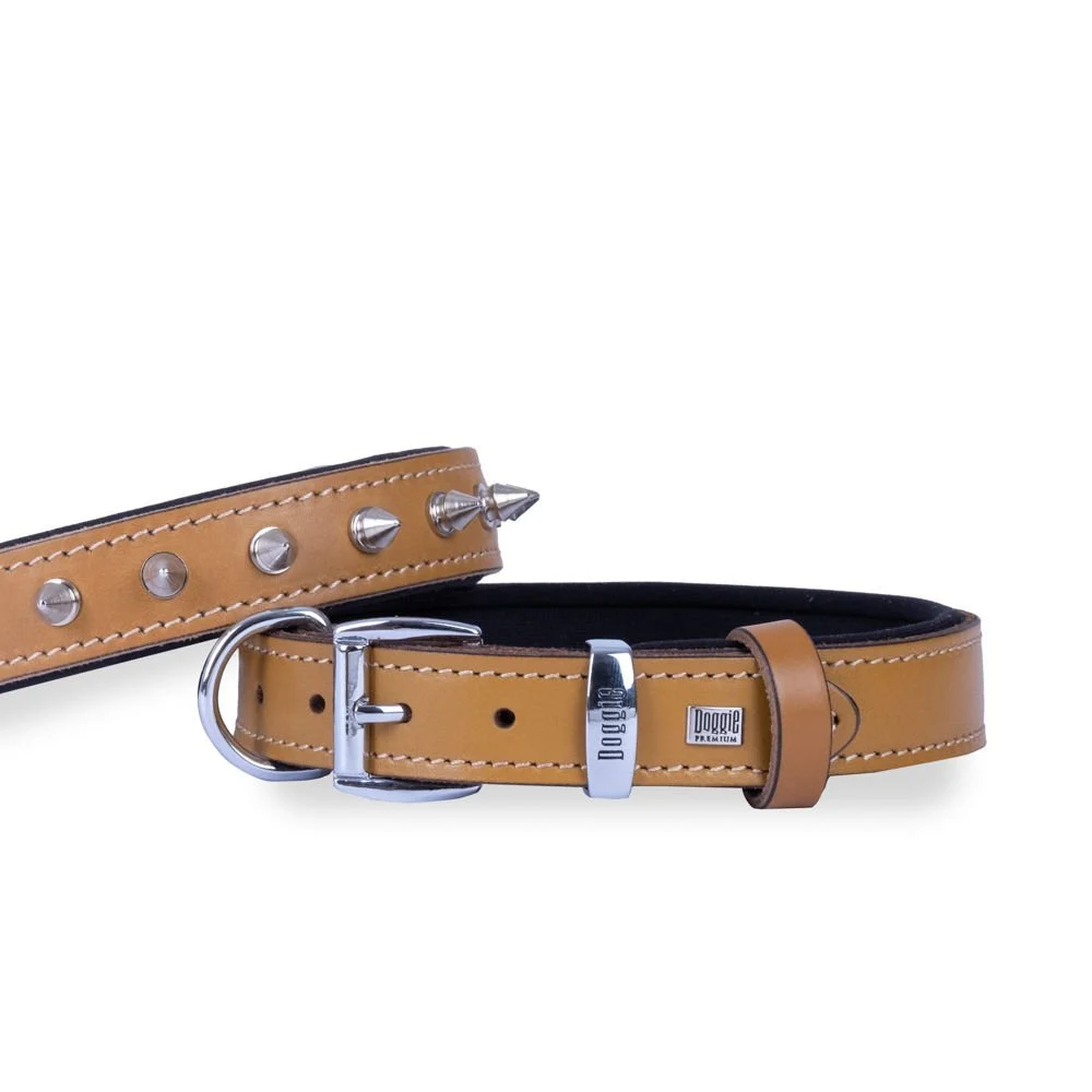 Doggie Çivili Deri Köpek Tasması 3x42-50cm