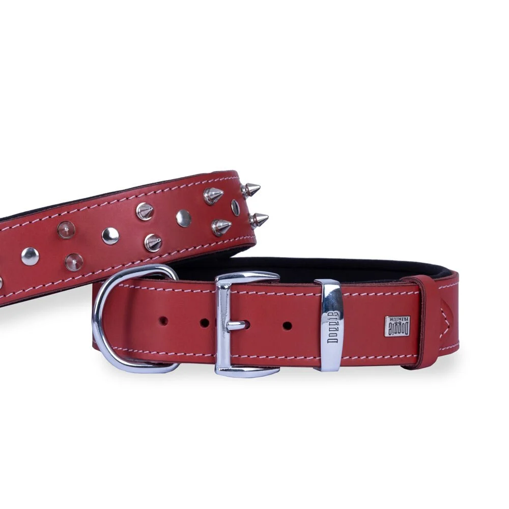 Doggie Çivili Deri Köpek Tasması 4x52-60cm