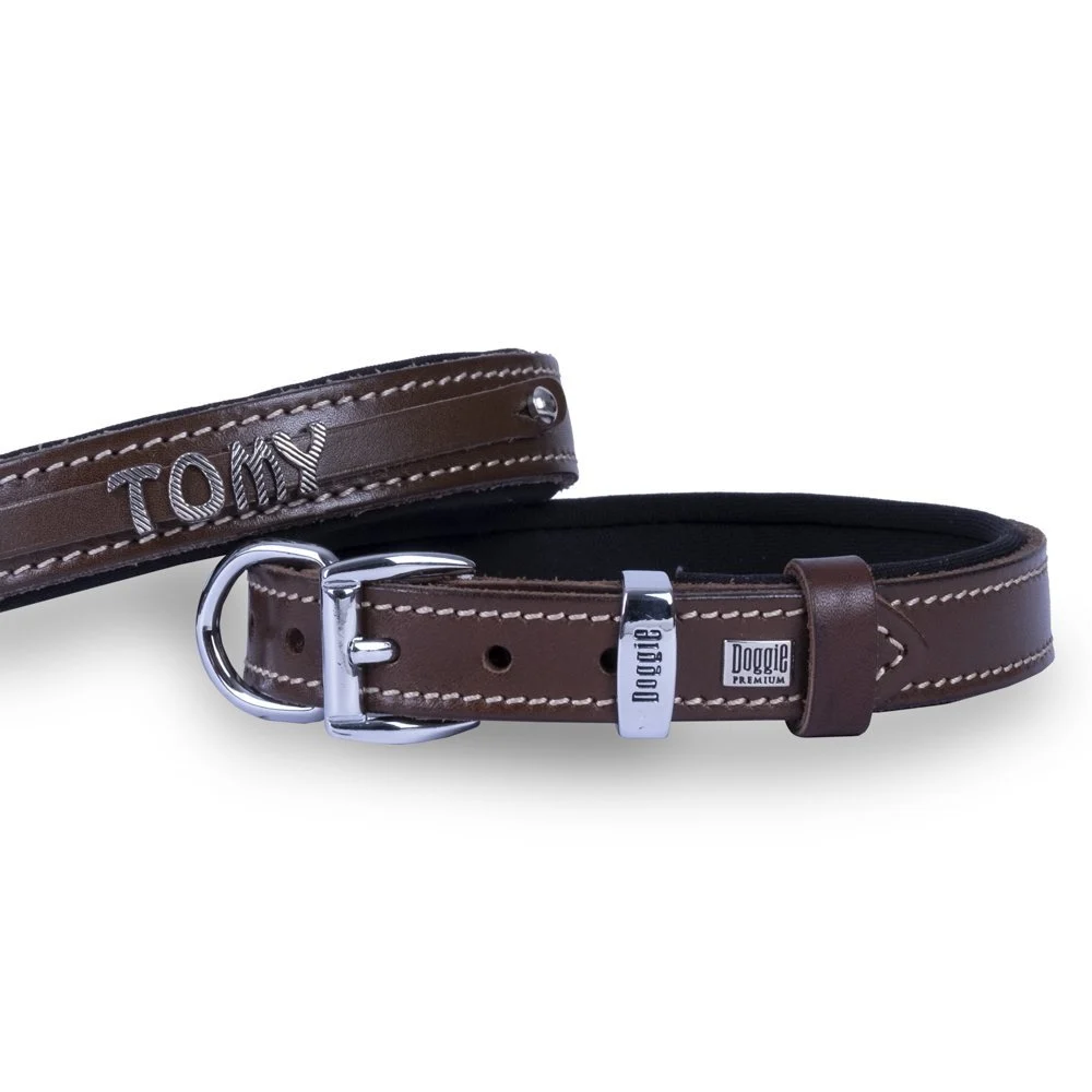 Doggie Nameplate Leather Dog Collar 1.5x20-25cm