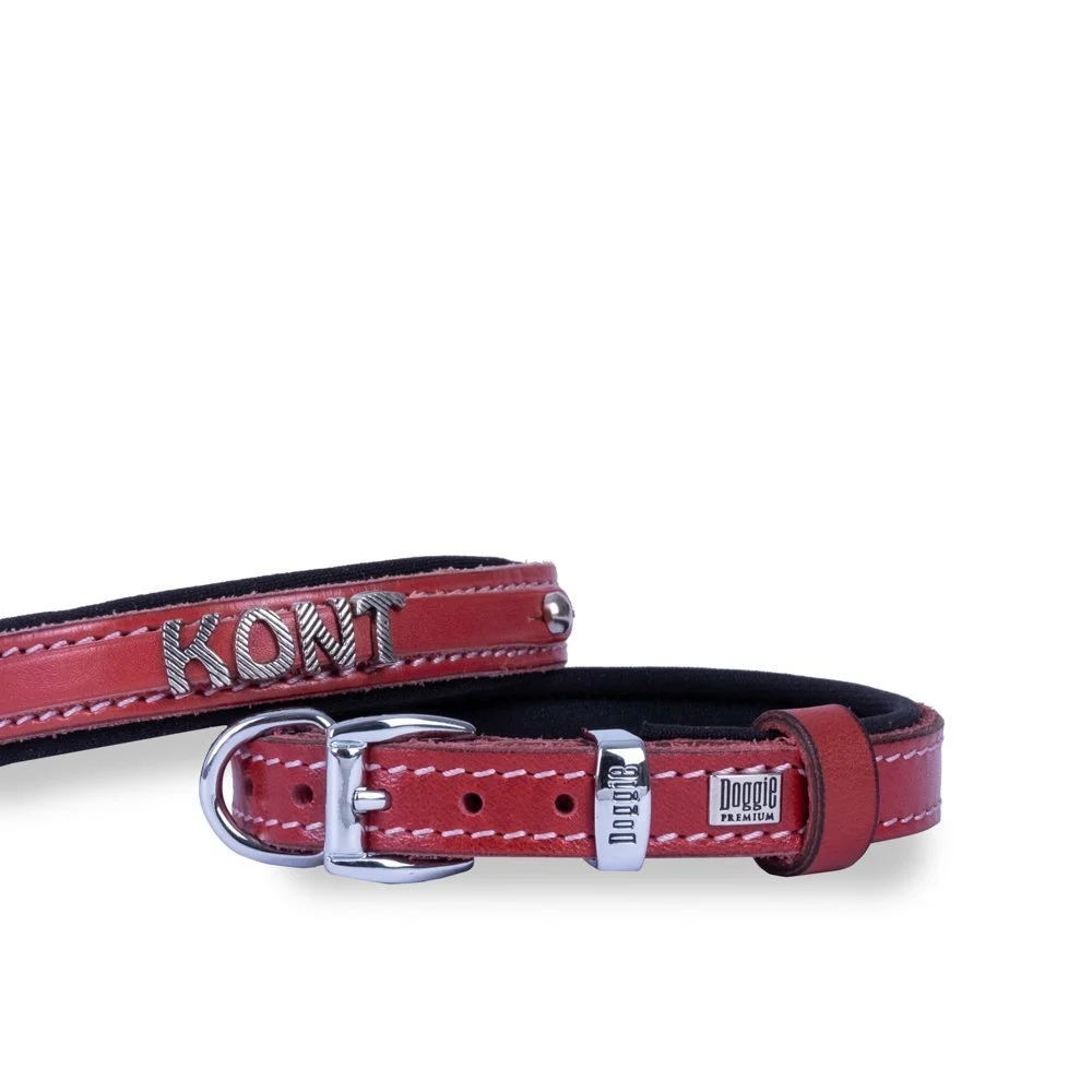 Doggie Nameplate Leather Dog Collar 1.5x20-25cm