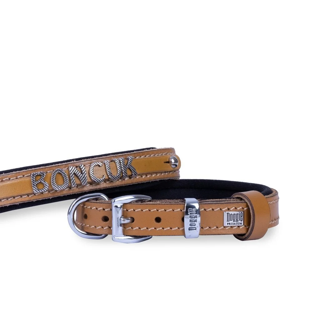 Doggie Nameplate Leather Dog Collar 1.5x20-25cm