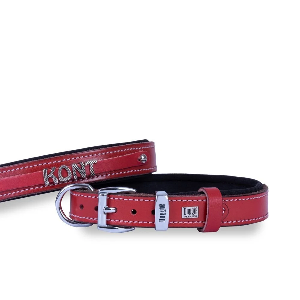Doggie Nameplate Leather Dog Collar 1.5x25-30cm