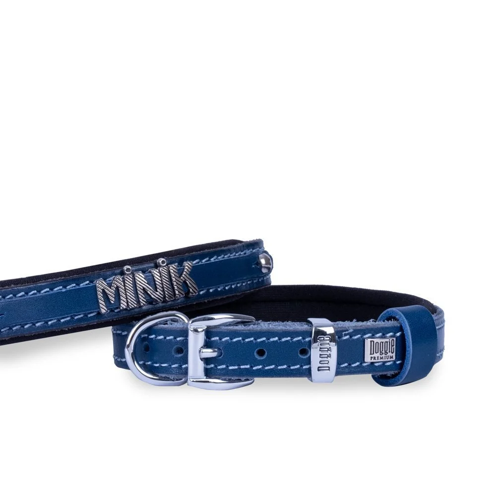 Doggie Nameplate Leather Dog Collar 1.5x25-30cm