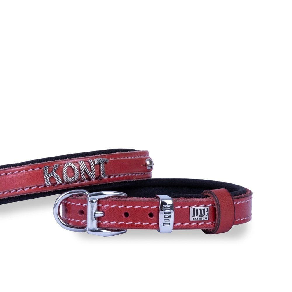Doggie Nameplate Leather Dog Collar 2x35-40cm