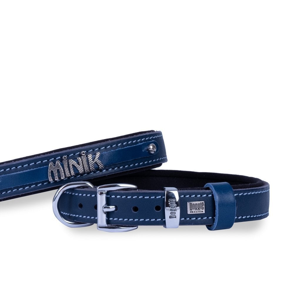Doggie Nameplate Leather Dog Collar 2.5x37-45cm