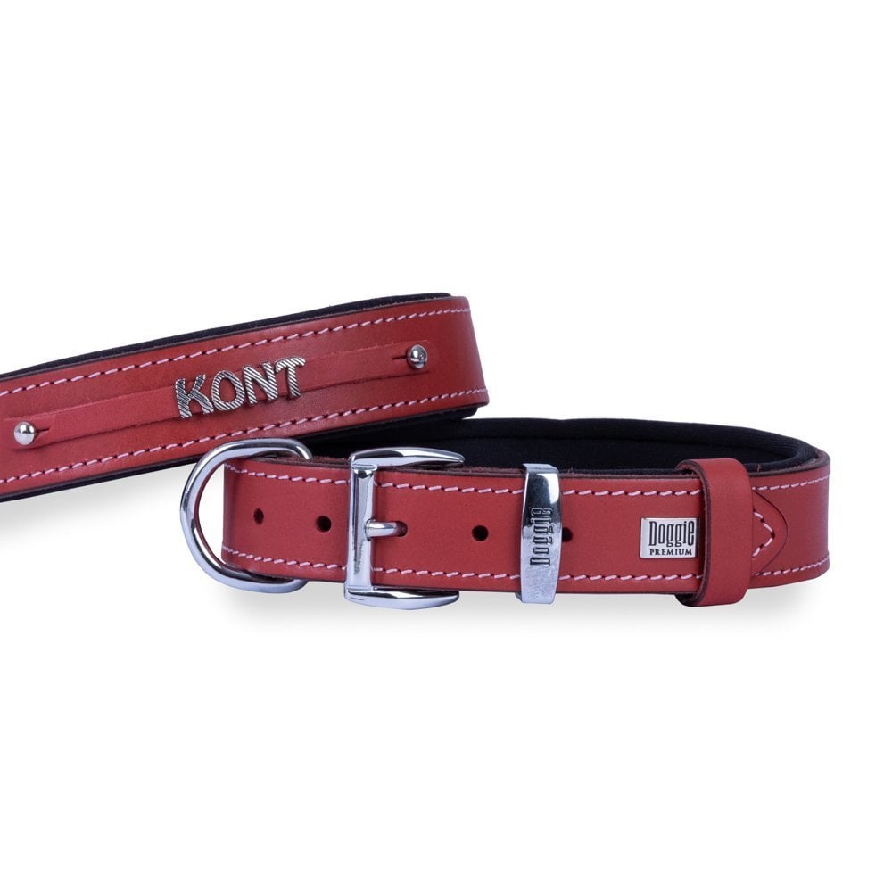 Doggie Nameplate Leather Dog Collar 3x42-50cm