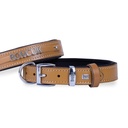 Doggie Nameplate Leather Dog Collar 3x42-50cm