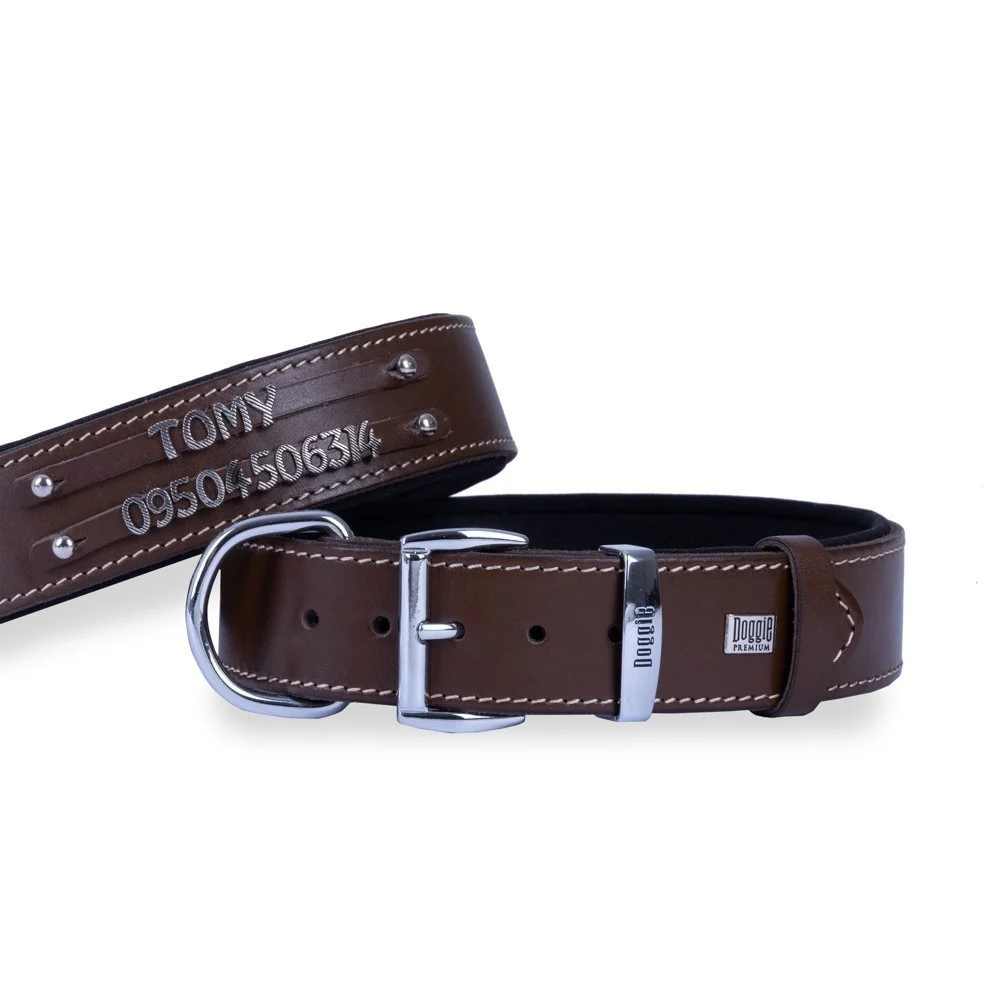 Doggie Double Row Nameplate Leather Dog Collar 3.5x47-55cm