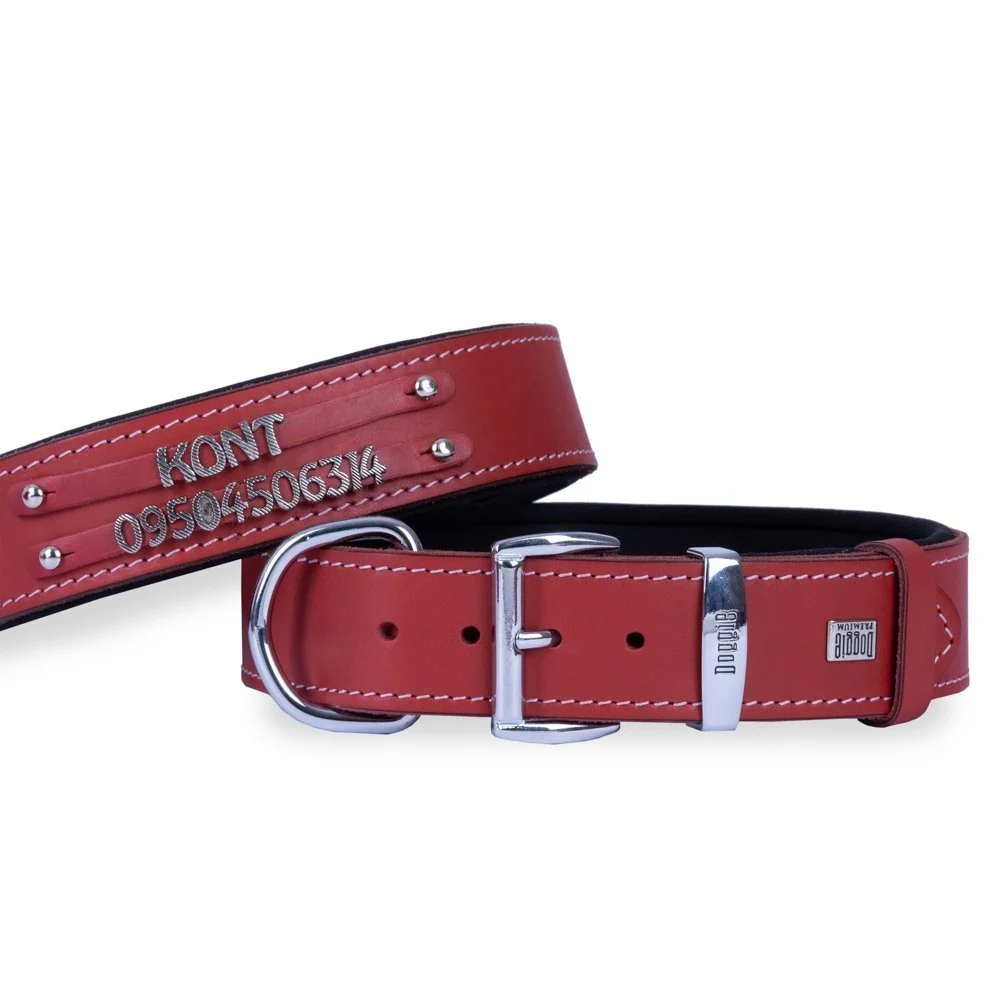 Doggie Double Row Nameplate Leather Dog Collar 3.5x47-55cm