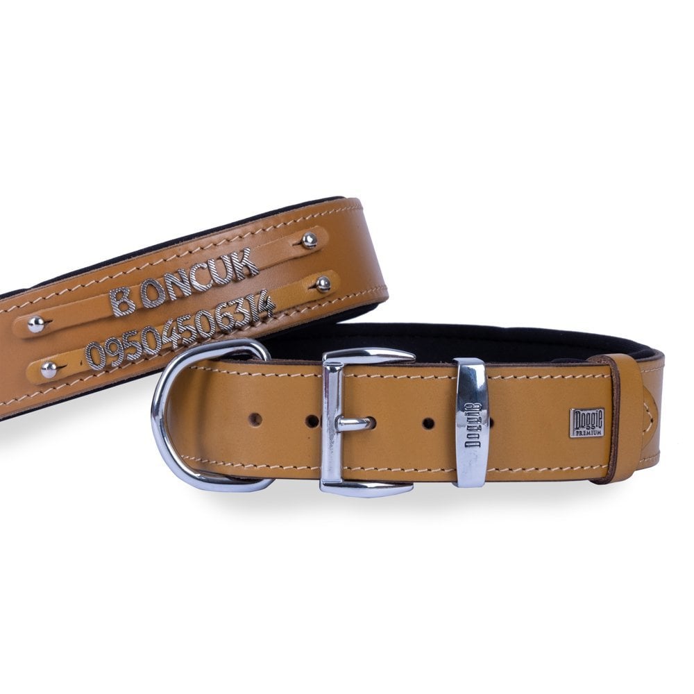 Doggie Double Row Nameplate Leather Dog Collar 4x47-55cm