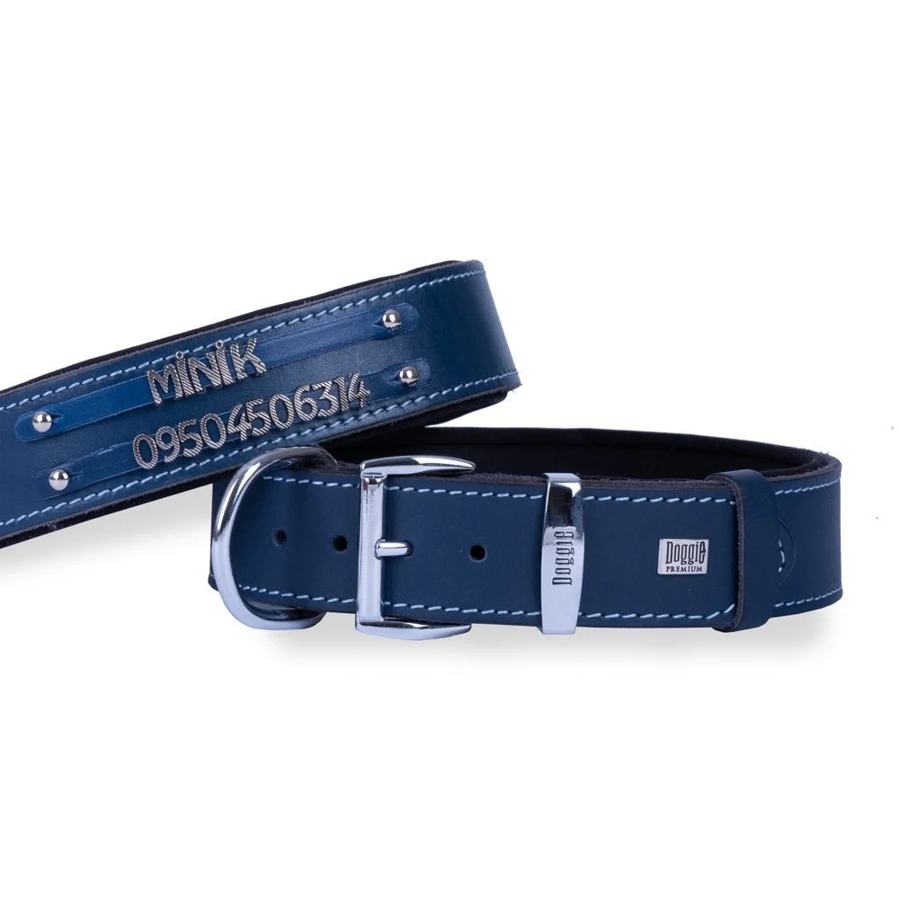 Doggie Double Row Nameplate Leather Dog Collar 4x52-60cm
