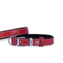 Doggie Bone Pattern Leather Dog Collar 2x30-35cm