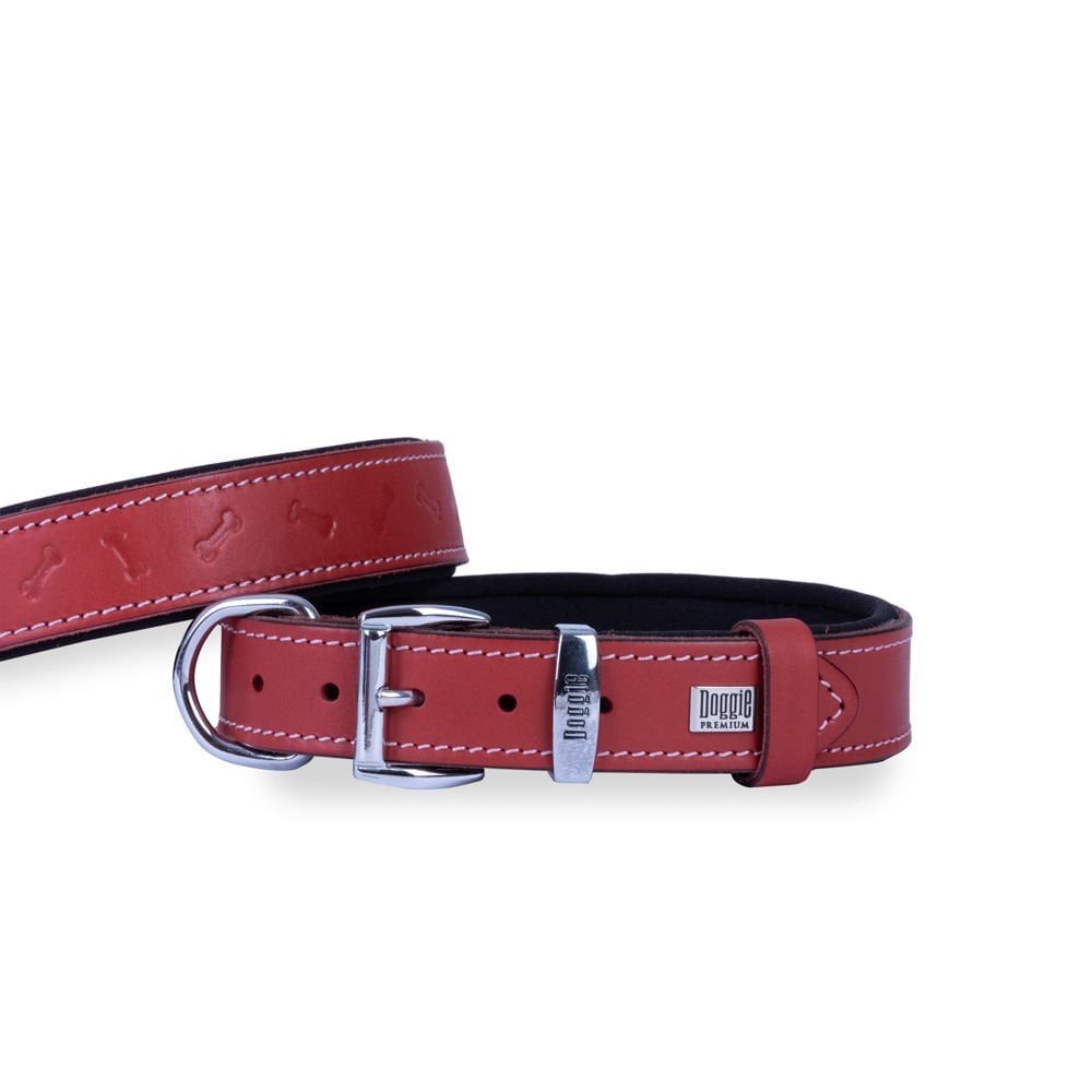 Doggie Bone Pattern Leather Dog Collar 2.5x37-45cm