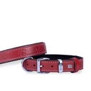 Doggie Paw Pattern Leather Dog Collar 3x42-50cm