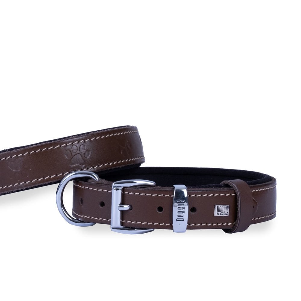 Doggie Paw Pattern Leather Dog Collar 3.5x47-55cm