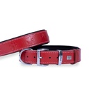 Doggie Paw Pattern Leather Dog Collar 3.5x52-60cm