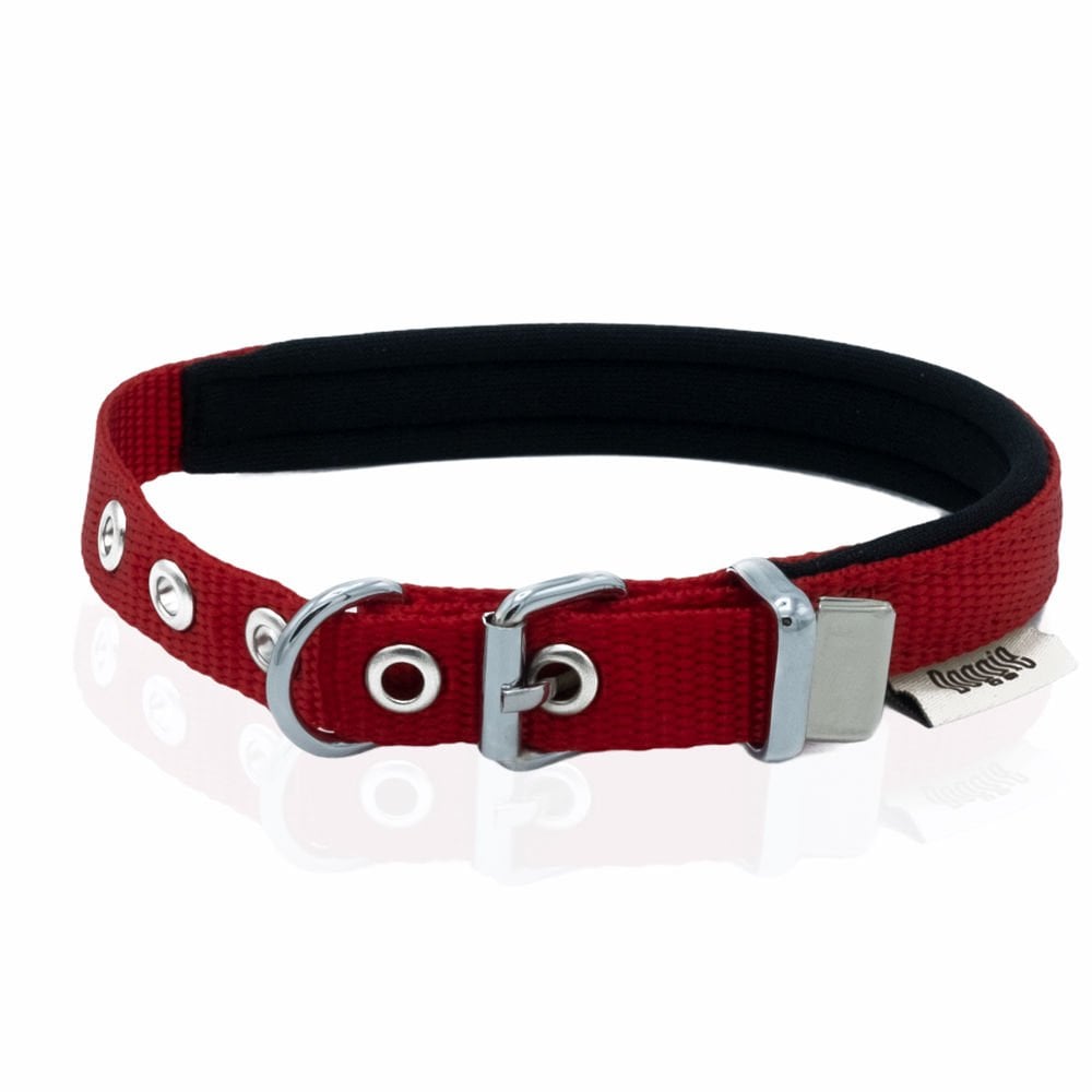 Doggie Webbing Dog Collar 1.5x20-25cm