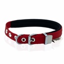 Doggie Webbing Dog Collar 1.5x20-25cm