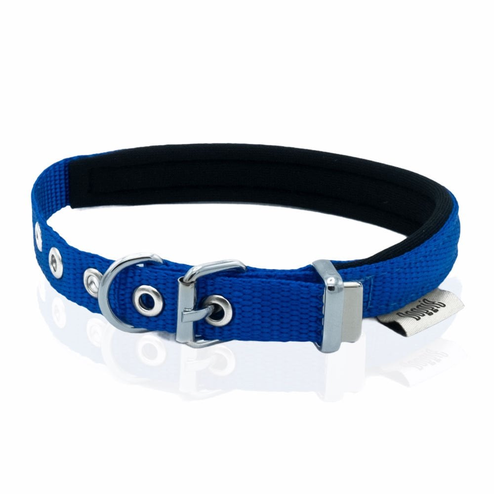 Doggie Webbing Dog Collar 1.5x20-25cm