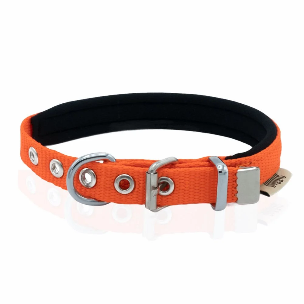 Doggie Webbing Dog Collar 1.5x20-25cm
