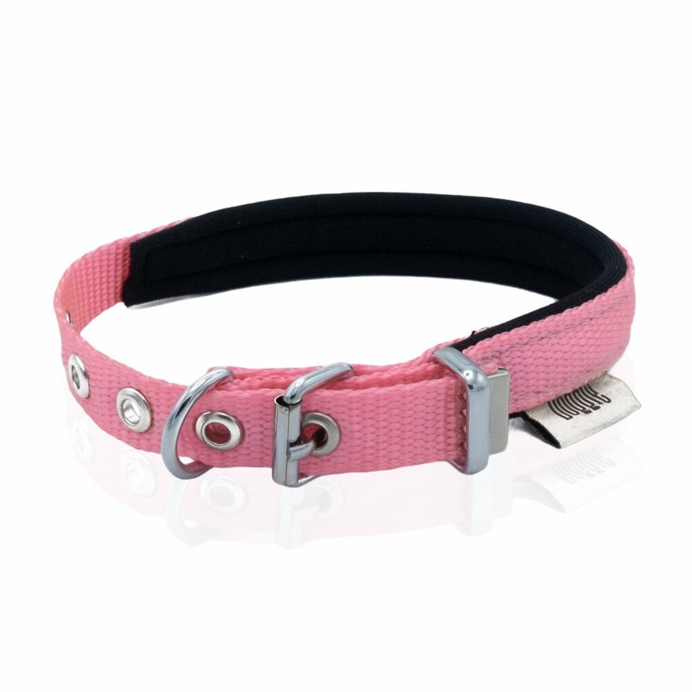 Doggie Webbing Dog Collar 1.5x20-25cm