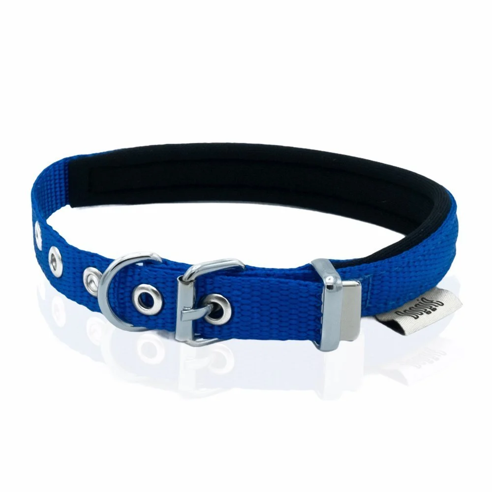 Doggie Webbing Dog Collar 1.5x25-30cm