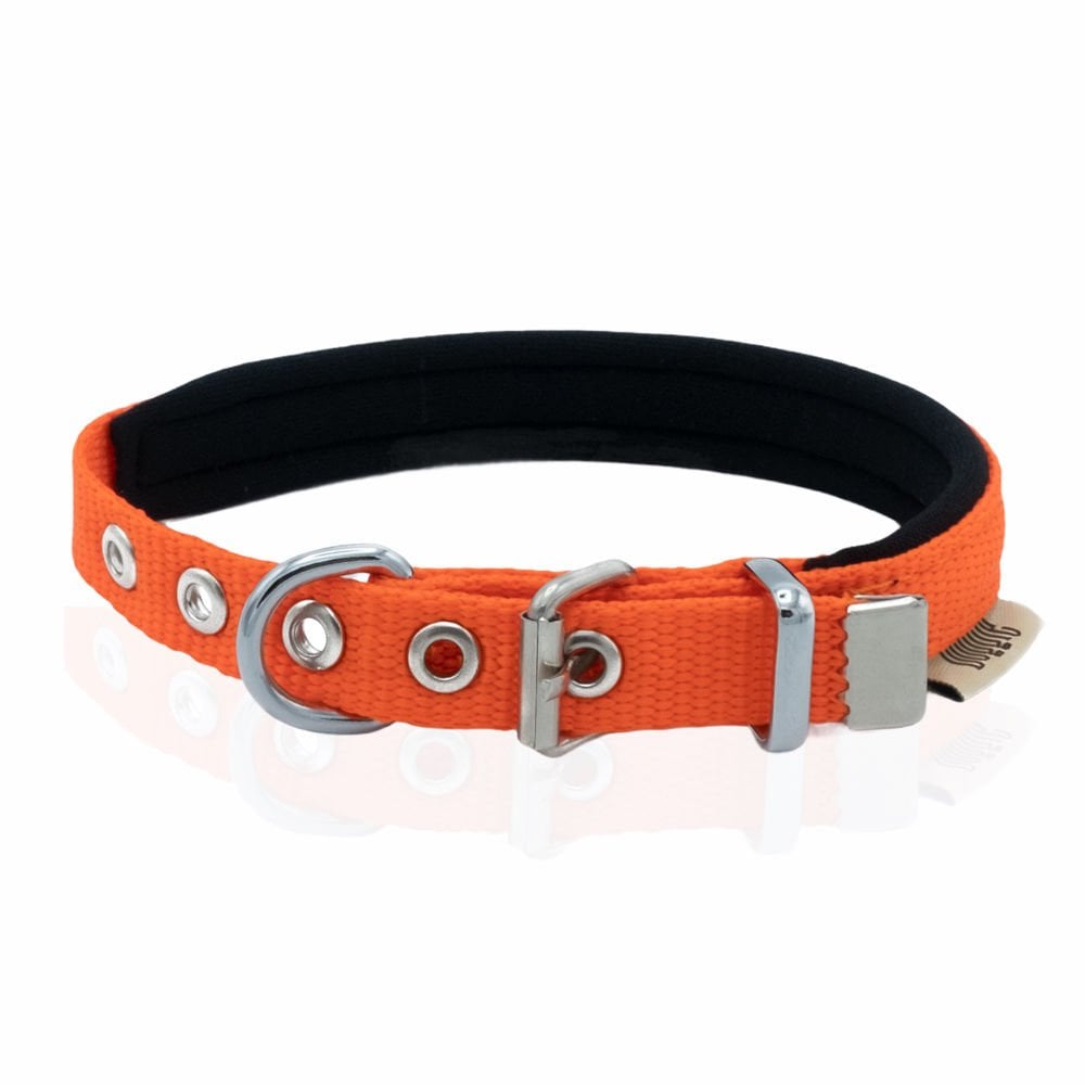 Doggie Webbing Dog Collar 1.5x25-30cm