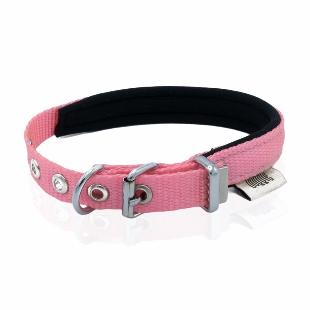 Doggie Webbing Dog Collar 1.5x25-30cm