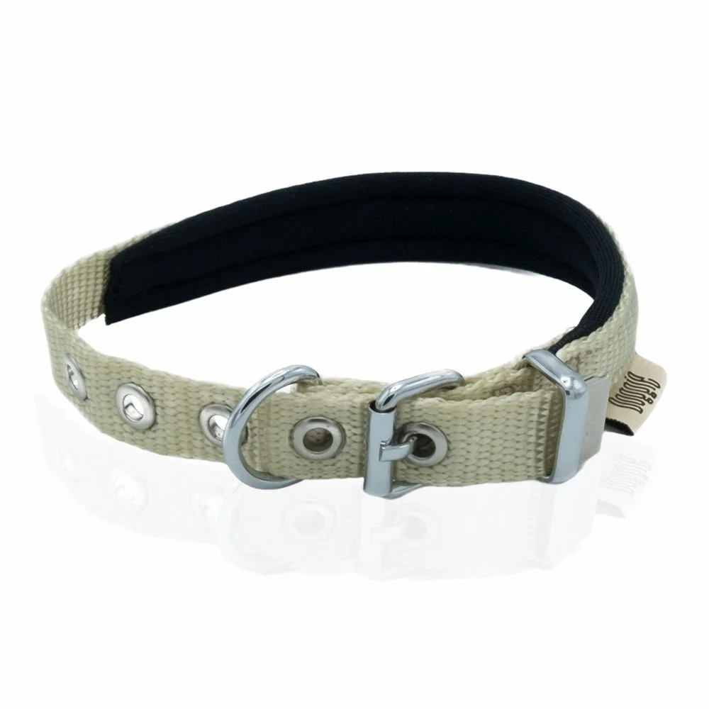 Doggie Webbing Dog Collar 1.5x25-30cm