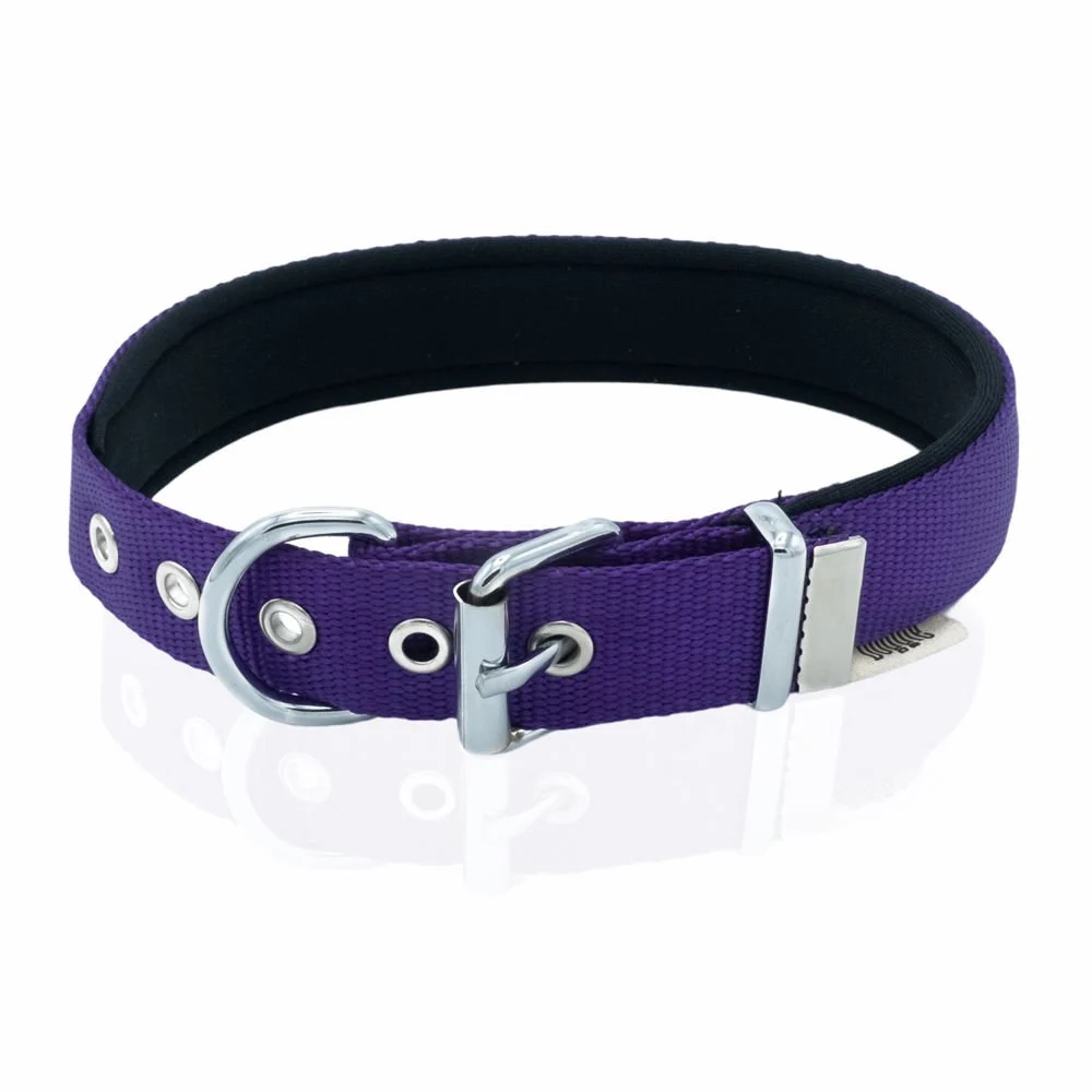 Doggie Webbing Dog Collar 2.5x42-50cm