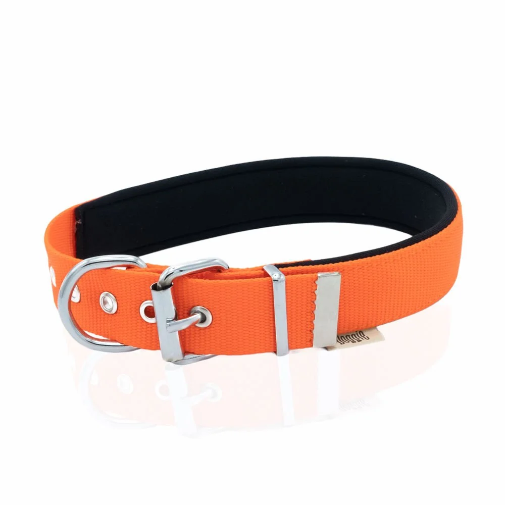 Doggie Webbing Dog Collar 3x42-50cm