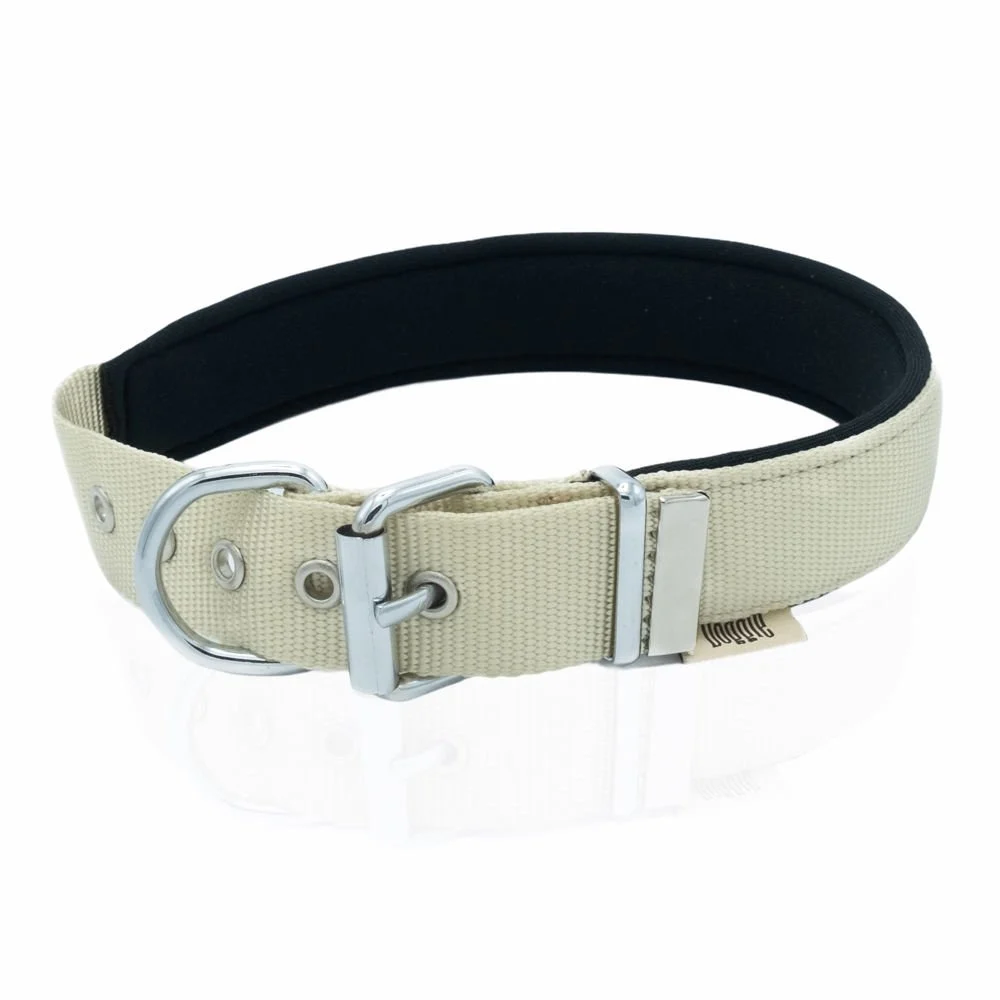 Doggie Webbing Dog Collar 3x42-50cm