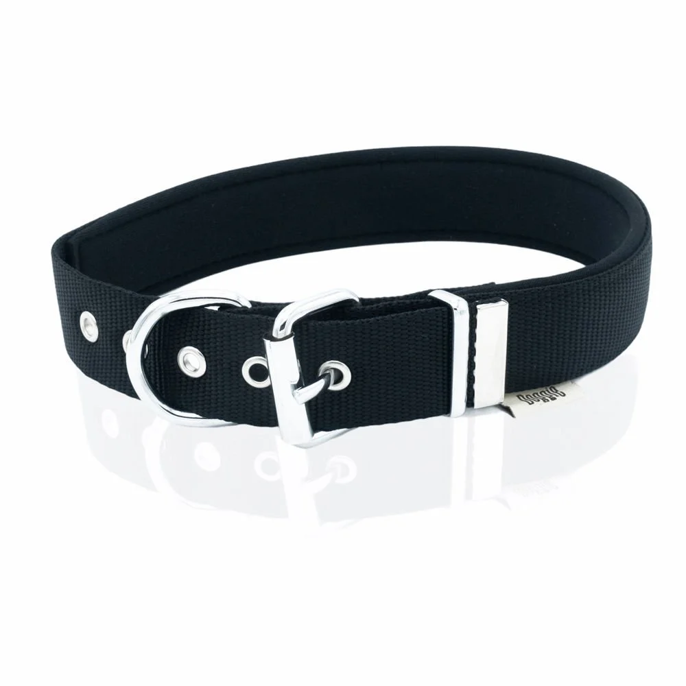 Doggie Webbing Dog Collar 3x47-55cm