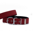 Doggie Heavy Duty Webbing Dog Collar 5x50-60cm