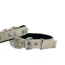 Doggie Bone Decorated Webbing Dog Collar 2x35-40cm