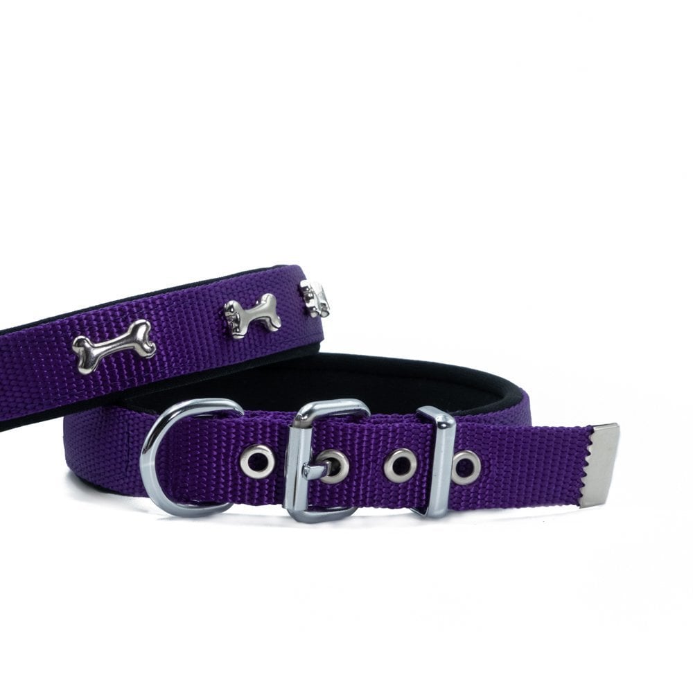 Doggie Bone Decorated Webbing Dog Collar 2x35-40cm