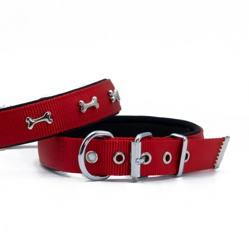Doggie Bone Decorated Webbing Dog Collar 2.5x42-50cm